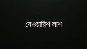 Bewarish Lash