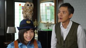 The Noisy Owl