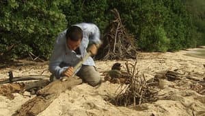 Deserted Island