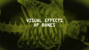Visual Effects Of Bones