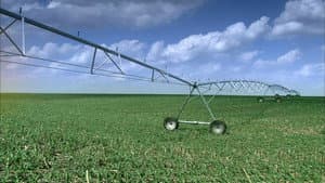 Bead Wire, Mini Pepperoni, Irrigation Sprinklers, Leather Gloves