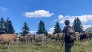 France's Shepherds: United for More Rights