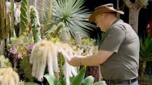 Episode 17 Habitat, Camellia, Seedling, Herbs & Collector