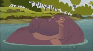 Race for the Hippo Disc