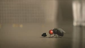 Microzilla