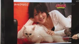 Pets (Part.5)
