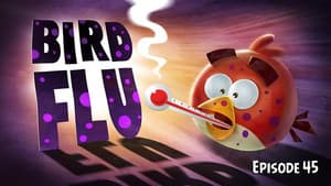 Bird Flu