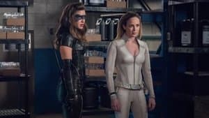 Lost Canary