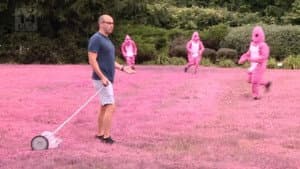 Pity in Pink