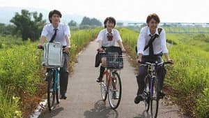 小さな故意の物語 (噓)
