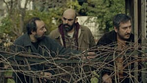 17 Conversations with Çağrı