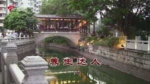 Episode 3886