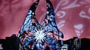 The Challenge from the Anti-Space