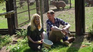 Living with 200 Wild Animals