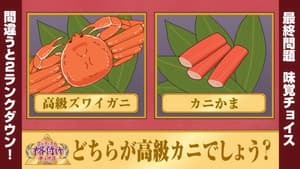 Artist Ranking Choice