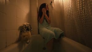 Every Dog Has His Day