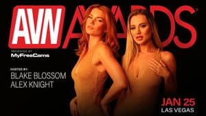 2025 AVN Awards
