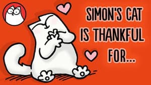 Things Simon's Cat is Thankful for (Thanksgiving Collection)