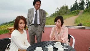 結婚報告 (疑)