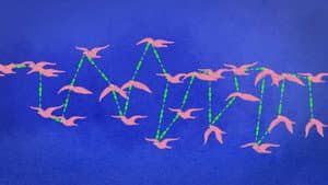 Are we more intelligent in swarms?