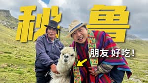 在海拔4000米的安第斯山脉里,认识了个羊驼朋友