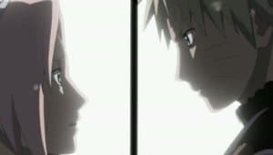 Sakura's Feelings