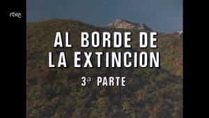 On the Brink of Extinction III