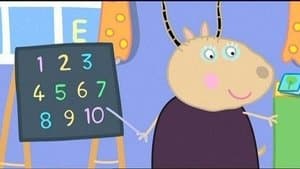Numbers