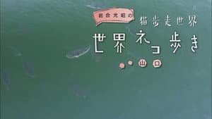 Yamaguchi
