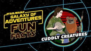 Fun Facts: Cuddly Creatures