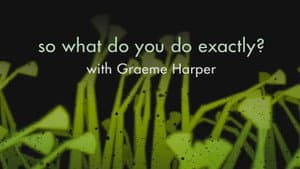 So What Do You Do Exactly?