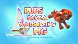 Pups Save a Windsurfing Pig