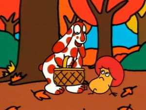 Gli amici funghi