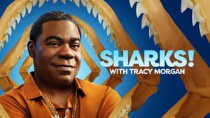 Sharks! with Tracy Morgan