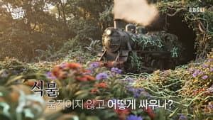 Episode 71