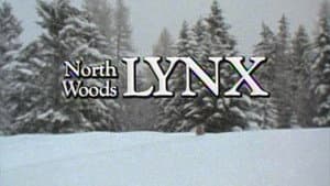 North Woods Lynx