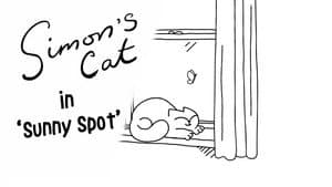 Sunny Spot