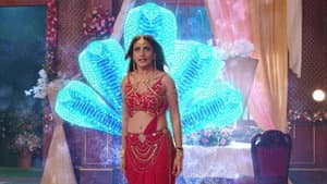 Bani Wreaks Havoc!