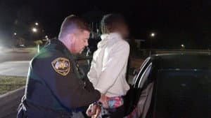Domestic Shooting