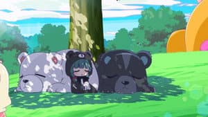 Bear Bear Bear Kuma - Petit! 01: Bear Learns to Sleep Soundly