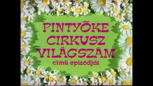 Pintyőke cirkusz világszám