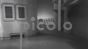 Picolo