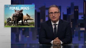June 21, 2026: Feral Hogs