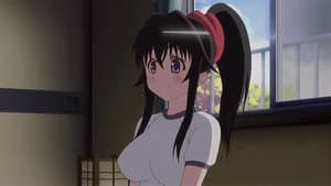 Manatsu no Daishanikusai (OVA) 1