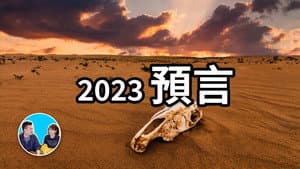 Episode 256