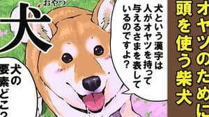 Special Lecture 1 / Special Lecture 2 / Dogs and Kanji 1 / Dogs and Kanji 2