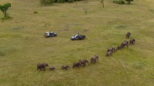 Africa