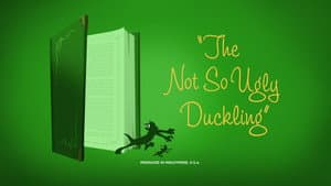 The Not So Ugly Duckling