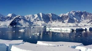 What if the ice disappeared?