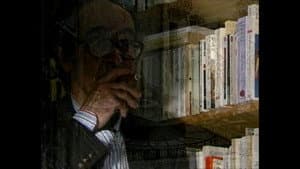 Une histoire seule